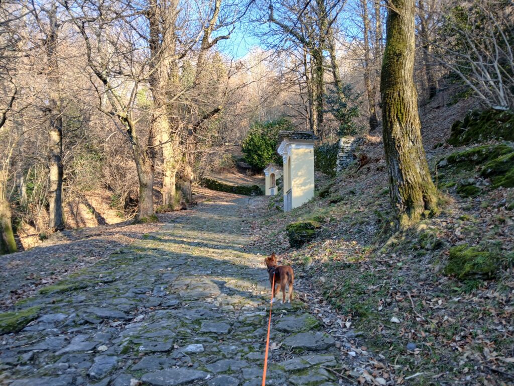 Bruzzella percorso presepi e via Crucis