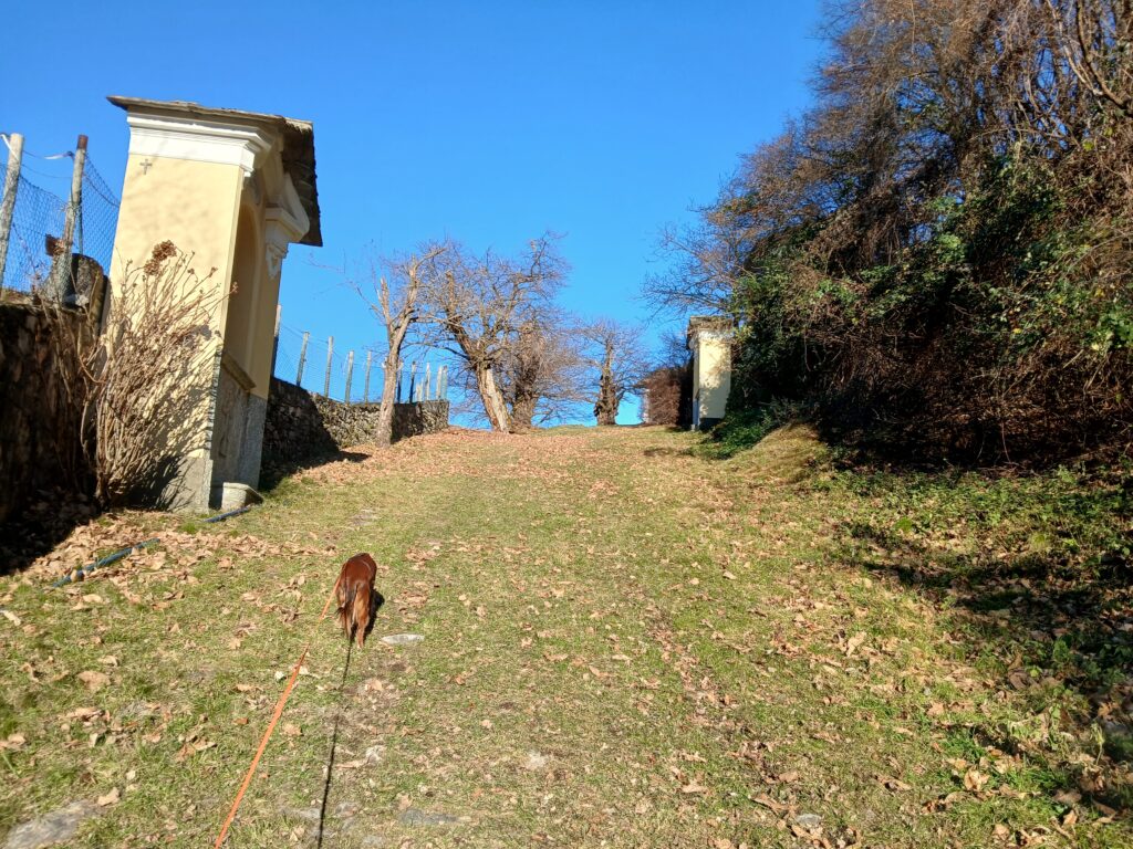 Bruzzella percorso presepi e via Crucis