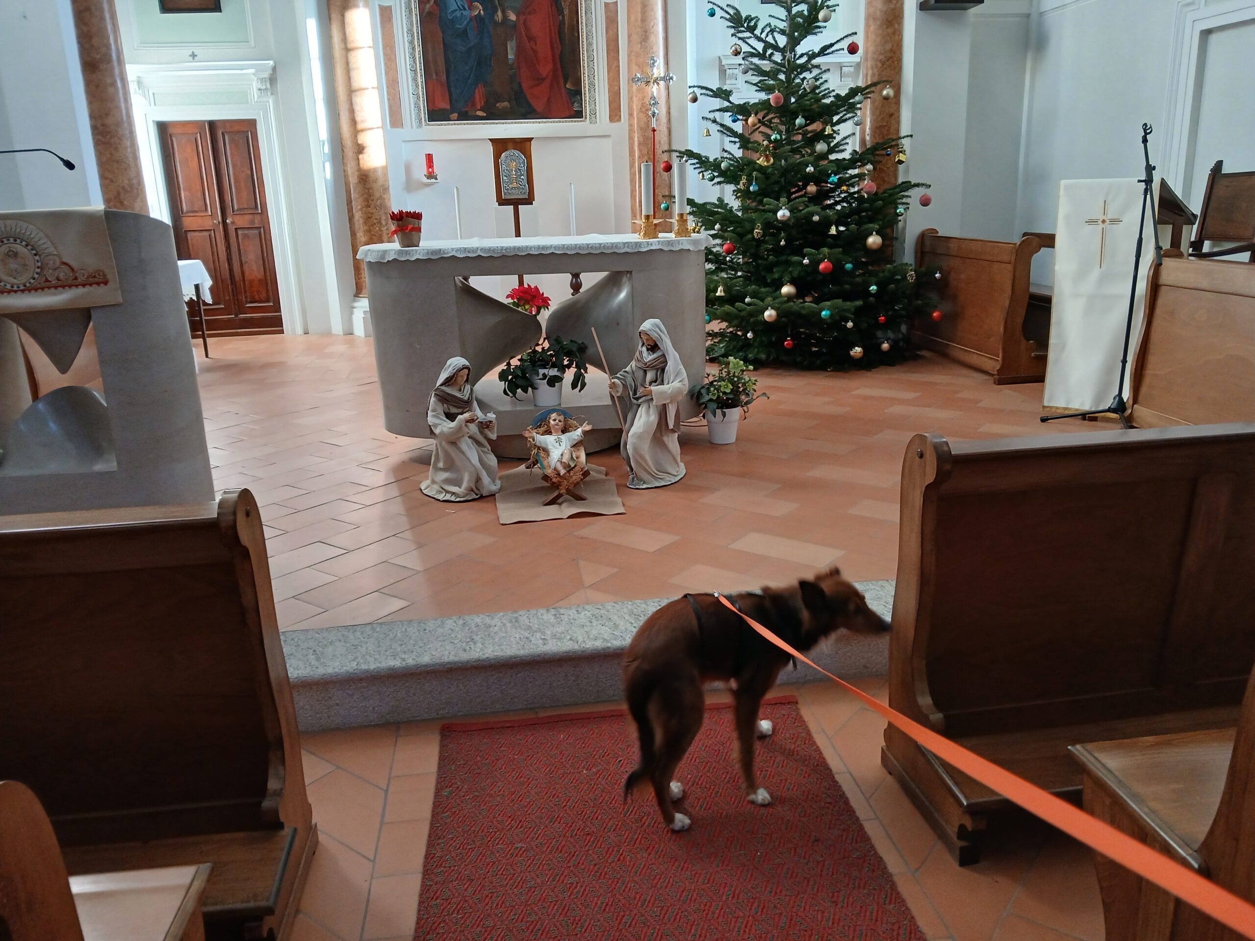 Bruzzella percorso presepi e via Crucis