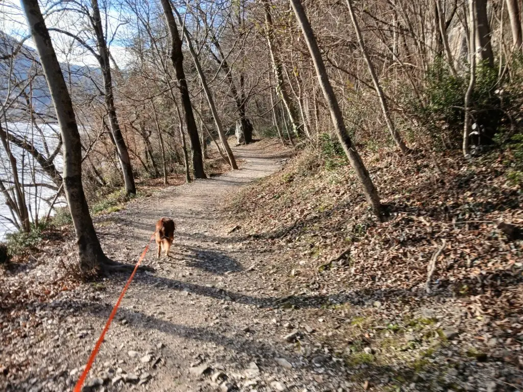 Giro del Monte di Caslano