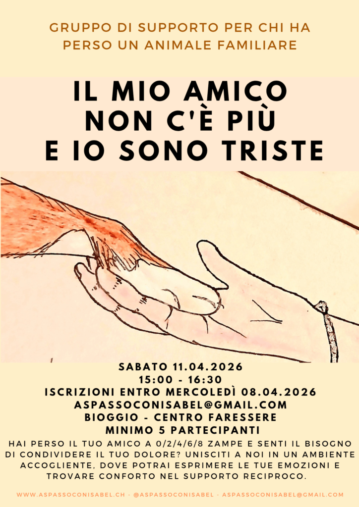 Incontro: Il mio amico non c\'è più e io sono triste